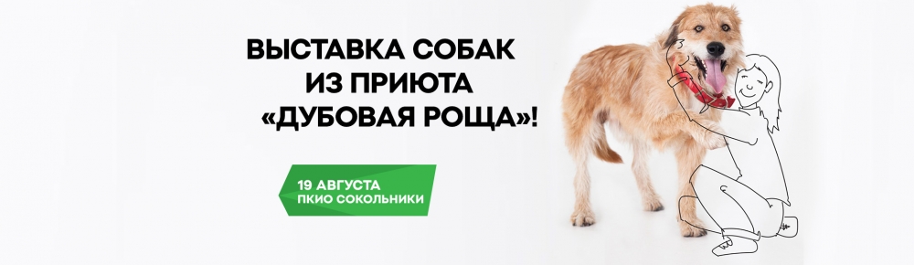 ПОРА ДОМОЙ: АСЦ, официальный дилер ŠKODA, поможет собакам из приюта «Дубовая Роща» найти семью!
