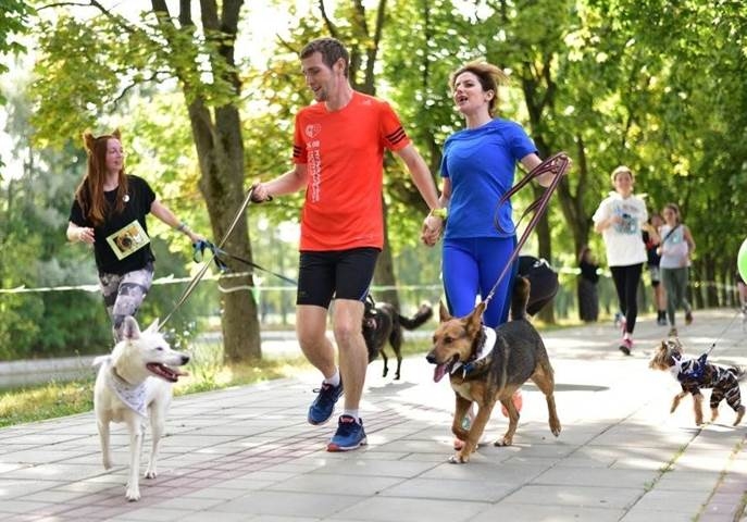 «Хвостатую милю» при поддержке АвтоСпецЦентр ŠKODA преодолели более 200 человек и более 30 собак!